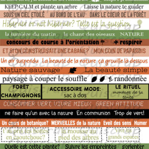 Planche de dies-cut – Autour de la nature – Les mots by Quiscrap – Lot de 5