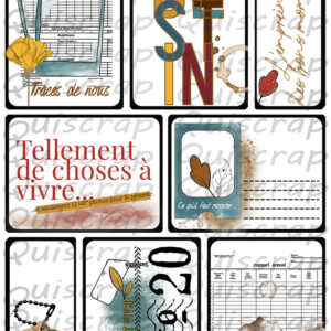 Planche de dies-cut A4 – Les cartes – Collection Pages de vie – Lot de 5