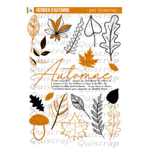 Planche de dies-cut – Herbier d&rsquo;automne – Lot de 5