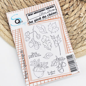 Tampons clear A6 – Au pied du chêne